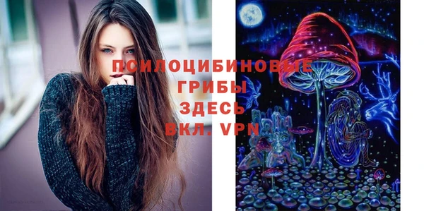 крисы Алексин