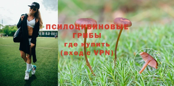 марки nbome Алзамай