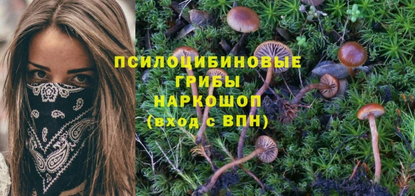 марки nbome Алзамай