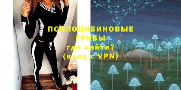 крисы Алексин